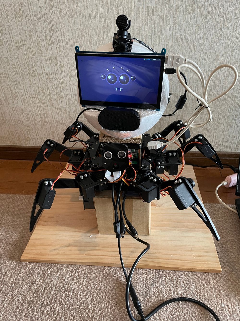 アラクネの正面。6本の脚の上に白い丸い頭があり、画面にクモの目と口の顔が映っている
